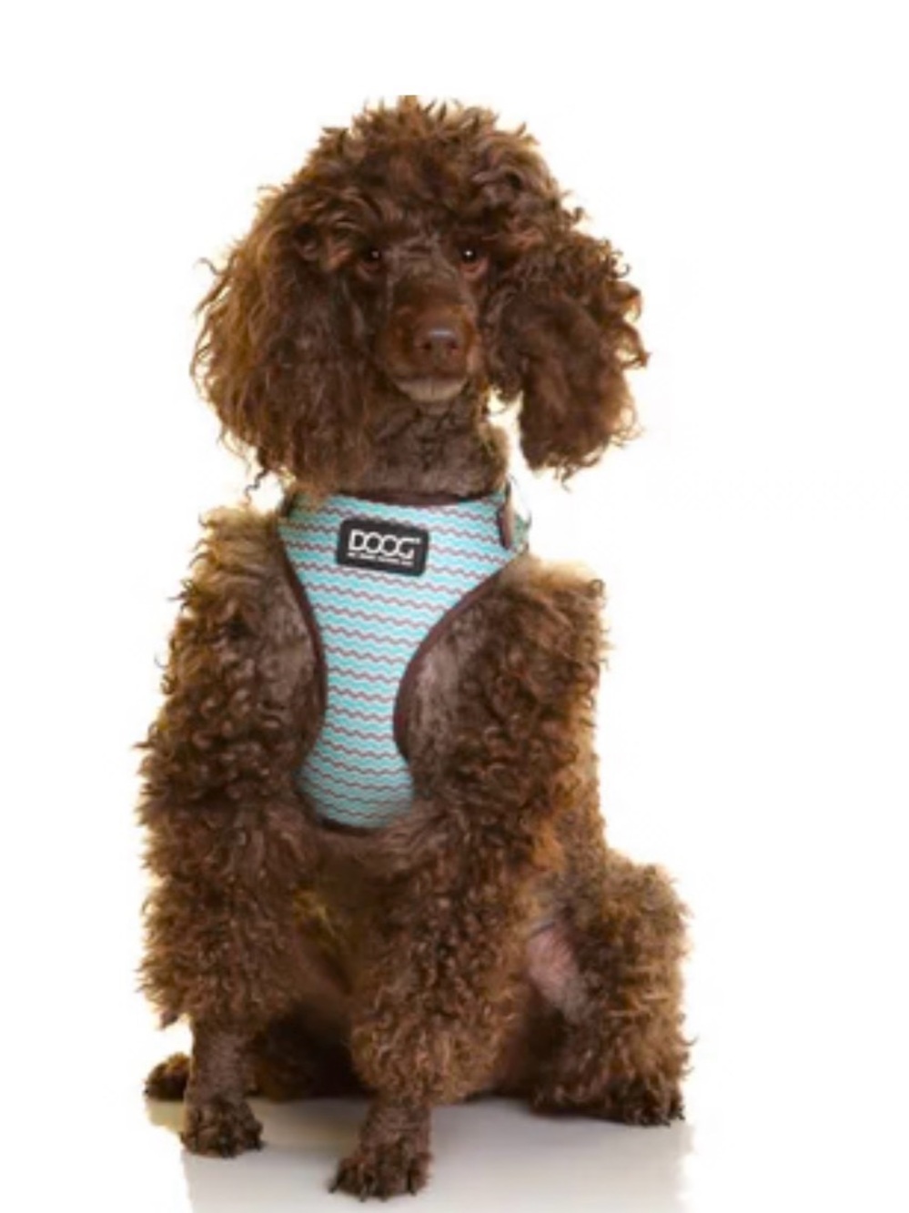 NWT-DOOG Neoflex Soft Harness- Benji- Teal/Brown Chevron Sz Large - Picture 8 of 9